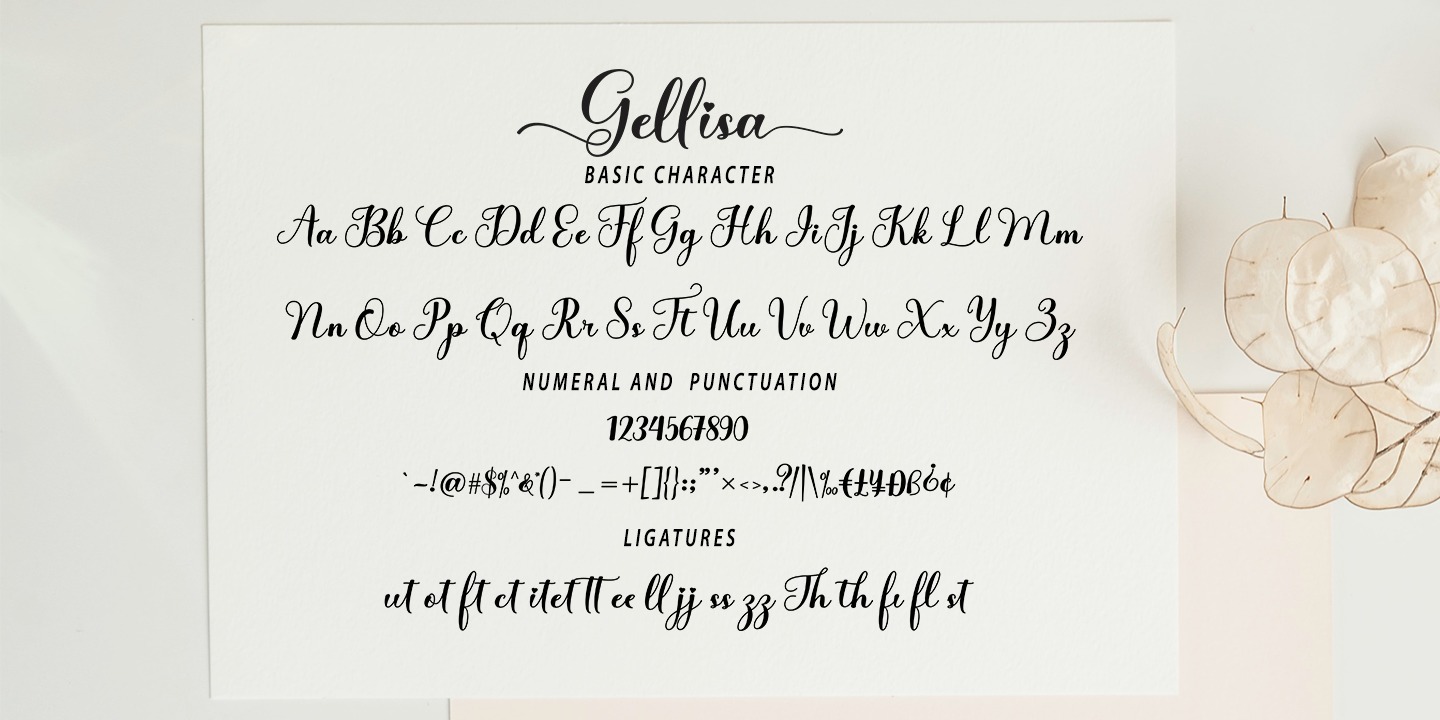 Beispiel einer Gellisa Script Regular-Schriftart